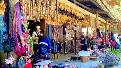 فرص الهروب من الفقر من خلال القيم الأصلية