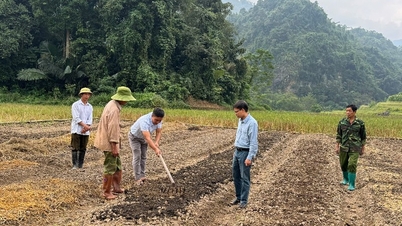 کھن ہا میں سبزی اگانے کا ماڈل