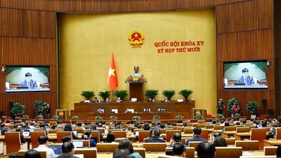 ناقشت الجمعية الوطنية السياسات والآليات الخاصة بمدينة دا نانغ ومدينة هوشي منه.