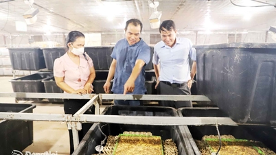 Phát triển nông nghiệp xanh, bền vững