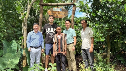 Fremme nasjonal kultur gjennom digitale rom