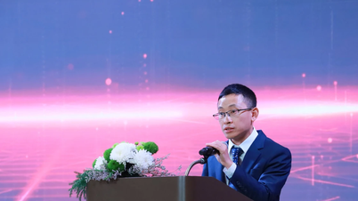 ڈیجیٹل تبدیلی کو فروغ دینے کے لیے ویتنام لاؤس کے ساتھ ہے۔