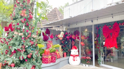 डोंग नाई के युवाओं ने क्रिसमस के रंग बनाए