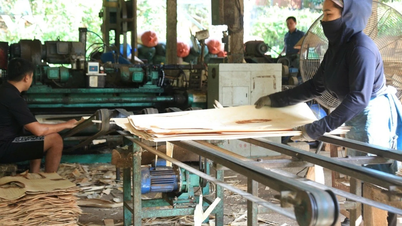 La economía forestal transforma el paisaje rural de Lao Cai