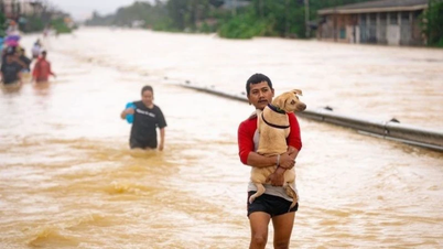 Kondoleanser för de svåra översvämningarna i södra Thailand