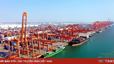 OECD: Küresel ekonomi olumsuzluklara rağmen ayakta duruyor