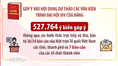 יותר מ-527,700 חוות דעת ממערכת חזית המולדת של וייטנאם תרמו לטיוטות המסמכים שהוגשו לקונגרס.