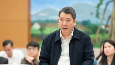 Последнее предложение о необлагаемых налогом доходах физических лиц и предприятий