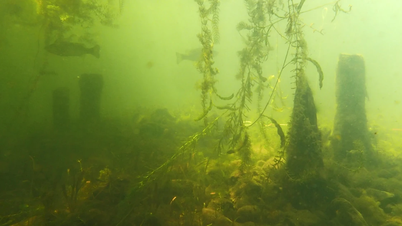 जापान की बिवा झील में 10,000 साल पुरानी कलाकृति मिली