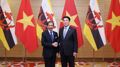 De Sultan van Brunei heeft zijn staatsbezoek aan Vietnam succesvol afgerond.