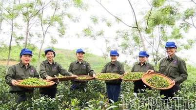 OCOP 제품 개발은 농촌 근로자들에게 지속 가능한 생계를 창출합니다.