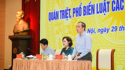 ការបង្កើតមូលដ្ឋានច្បាប់រឹងមាំសម្រាប់ការអភិវឌ្ឍន៍ប្រកបដោយចីរភាព