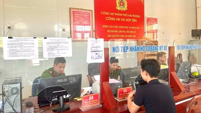 សម្អាតទិន្នន័យចុះបញ្ជីយានយន្ត ប័ណ្ណបើកបរ