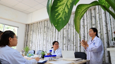 वैज्ञानिकों की भर्ती के लिए हो ची मिन्ह सिटी नेशनल यूनिवर्सिटी द्वारा क्या वेतन दिया जाता है?