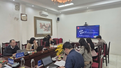 Онлайн-встреча между Департаментом иностранных дел провинции Лангшон, Вьетнам, и Комитетом по информации и коммуникационным технологиям города Санкт-Петербурга, Российская Федерация