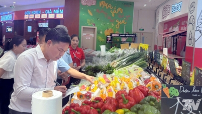 Monitoramento para garantir a segurança alimentar