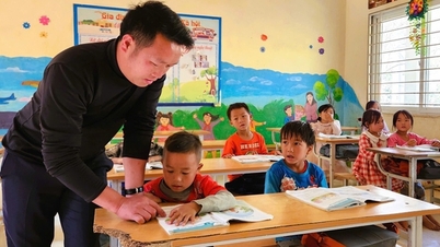 Voldoen aan criteria bij het samenvoegen van onderwijsinstellingen