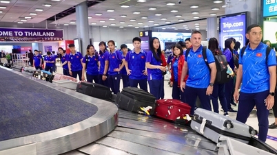 ارکان ورزش ویتنام در بازی‌های SEA