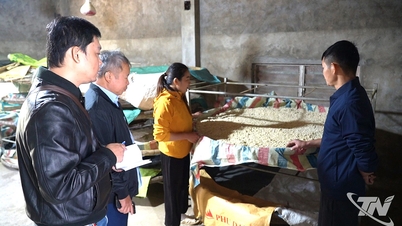 Vesnice sójové omáčky v Uc Ky se vrací k rytmu výroby