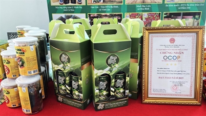 OCOP مصنوعات کی تشخیص اور درجہ بندی کونسل کے آپریٹنگ ضوابط کو جاری کرنا