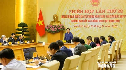 Nghe An implements comprehensive solutions to address the EC's yellow card.
