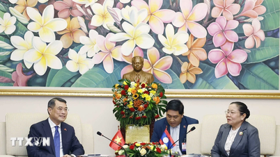 Wzmocnienie współpracy w budowaniu partii między Wietnamem a Laosem