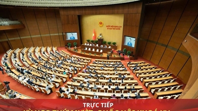 Έκθεση: Η Εθνοσυνέλευση εργάζεται πάνω σε θεματική εποπτεία και ερωτήσεις