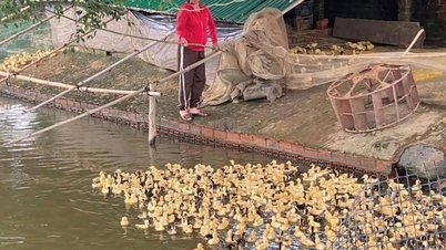 ការធ្វើសមកាលកម្មដំណោះស្រាយកាត់បន្ថយភាពក្រីក្រពហុវិមាត្រ