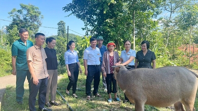 Superando as dificuldades na nova construção rural