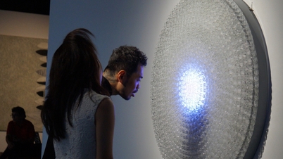 वियतनामी जल फर्न की कहानी जिसे फाम तुआन अंतरिक्ष में ले गए और कला का एक नमूना बन गए