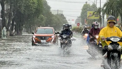 Previsão do tempo para hoje, das 12h às 15h: De Thanh Hoa até a costa centro-sul, algumas áreas terão chuvas muito fortes.
