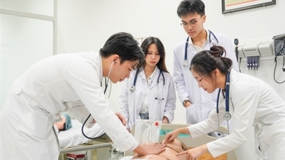 Podnoszenie jakości kształcenia lekarzy i absolwentów prawa: Jak to skutecznie zaostrzyć?