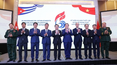 جشن شصت و پنجمین سالگرد برقراری روابط دیپلماتیک ویتنام و کوبا: تقویت دوستی برادرانه وفادارانه و پایدار