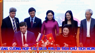 Stärkung der Zusammenarbeit zwischen der Ho-Chi-Minh-Denkmalstätte und der Staatlichen Universität Sankt Petersburg