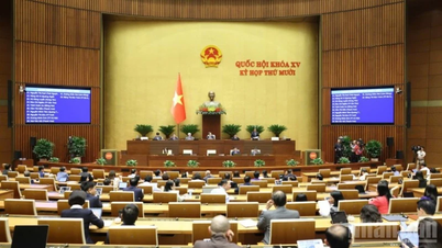 Seçmenlerin görüşleri