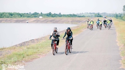 Dong Nai tourism on the journey to position the green and sustainable tourism brand