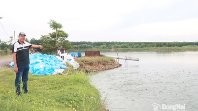 Перспективи прісноводного рибництва