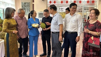 วิสาหกิจต่างชาติ “ล่า” สินค้าเกษตรในพื้นที่สูงตอนกลาง