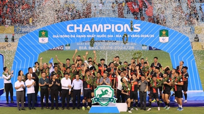 Bestätigung der Position des Sports in Ninh Binh auf der nationalen und internationalen Landkarte