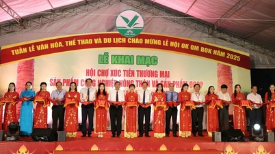 Vinh Long atrae con fuerza nuevos flujos de capital y la economía avanza positivamente