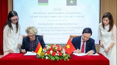ألمانيا تتعهد بتقديم 185.5 مليون يورو كمساعدات لفيتنام على مدى عامين
