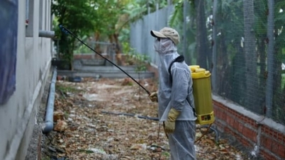 जमीनी स्तर पर पशु चिकित्सा मानव संसाधन का अंतर