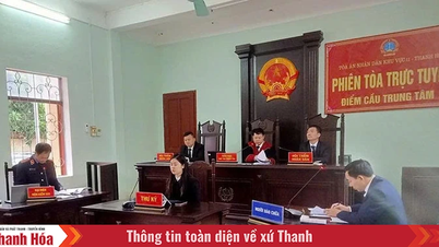 Το Λαϊκό Δικαστήριο της Περιφέρειας 11 εφαρμόζει αποτελεσματικά τα κινήματα μίμησης "Για Δικαιοσύνη"