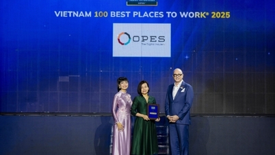 OPES Digital Insurance continuă să se afle în topul celor mai mari 500 de companii din Vietnam