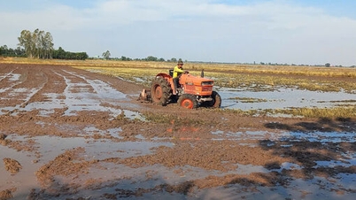 ນໍ້າຖ້ວມຊ້າສົ່ງຜົນກະທົບຕໍ່ຄວາມຄືບໜ້າຂອງການຫວ່ານ
