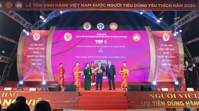 RECONFIGURANDO A POSIÇÃO DE LIDERANÇA: DOIS PRODUTOS DA TAN A DAI THANH SÃO PREMIADOS COMO OS "PRODUTOS VIETNAMITAS FAVORITOS PELOS CONSUMIDORES" EM 2025