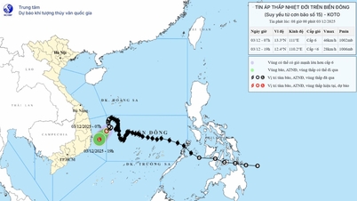 Tropical depression moves rapidly towards Dak Lak - Khanh Hoa sea area