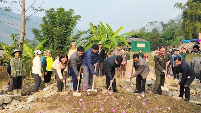 Minh Tan نے 7 عظیم اتحاد کے گھروں کی تعمیر شروع کی۔