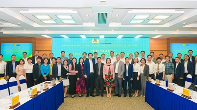 Petrovietnam fagforening forbedrer organisasjonsstrukturen og bygger kvalifisert team