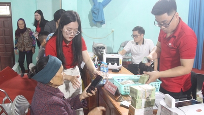 박닌: 자빈 국제공항 프로젝트 부지 정리에 집중